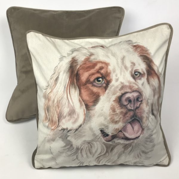 Clumber Spaniel (CUS-UK197)