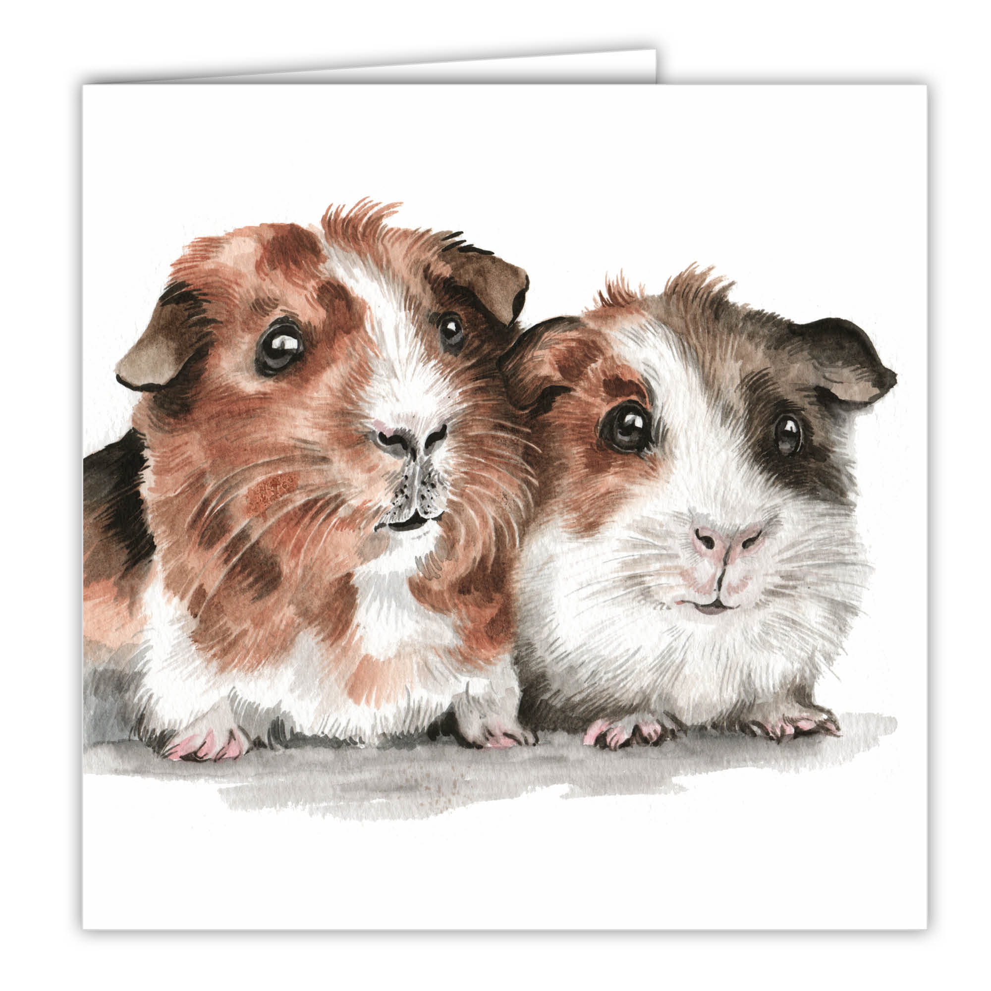 Guinea Pigs Art Card / Greetings Card (AC-FY07) - WaggyDogz