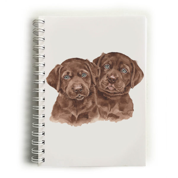 Chocolate Labrador Puppies Choc Labradors Notebook