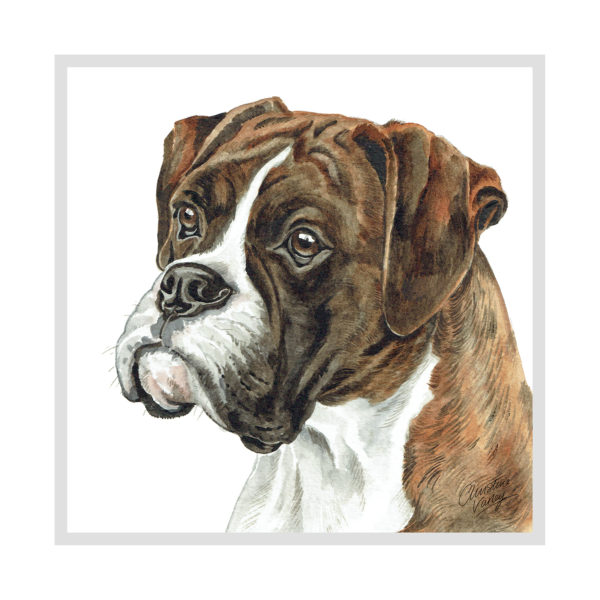 Brindle Boxer Dog Picture / Print